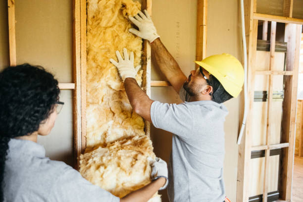 Insulation Repair Services in Malvern, IA